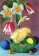 EASTER CHICKEN EGG Vintage Postcard CPSM #PBP107.GB - Pasqua