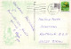 EASTER CHICKEN EGG Vintage Postcard CPSM #PBO854.GB - Pasen