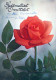 FLOWERS Vintage Postcard CPSM #PAS213.GB - Flowers