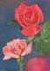 FLOWERS Vintage Postcard CPSM #PAS153.GB - Fiori