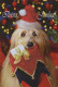 DOG Animals Vintage Postcard CPSM #PAN614.GB - Honden