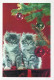 CAT KITTY Animals Vintage Postcard CPSM #PAM613.GB - Gatos