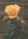 FIORI Vintage Cartolina CPSM #PBZ564.IT - Flowers