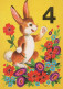 CONIGLIO Animale Vintage Cartolina CPSM #PBR094.IT - Autres & Non Classés