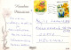 PASQUA POLLO Vintage Cartolina CPSM #PBO984.IT - Pasqua