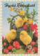 PASQUA POLLO UOVO Vintage Cartolina CPSM #PBO794.IT - Easter