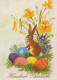 PASQUA CONIGLIO Vintage Cartolina CPSM #PBO481.IT - Easter