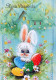 PASQUA CONIGLIO Vintage Cartolina CPSM #PBO419.IT - Easter