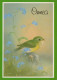 UCCELLO Animale Vintage Cartolina CPSM #PAN239.IT - Vögel