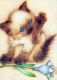 GATTO KITTY Animale Vintage Cartolina CPSM #PAM177.IT - Katzen