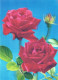 FIORI LENTICULAR 3D Vintage Cartolina CPSM #PAZ173.IT - Fiori