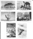 BZ17 - SERIE 6 IMAGES CIGARETTES EILEBRECHT - AFRIKAKORPS - 1939-45