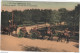 Delcampe - Elsenborn Camp Lot Konvolut 53 Cpa Karten Bei Büllingen Armee Gare Train Tram Sourbrodt Artillerie Litho Leporello Etc - Elsenborn (Kamp)