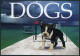 Papua New Guinea 1200 Ad Sheet,1201,MNH. Dogs 2005.Basenji,Poodle,Boston Terrier - Papua-Neuguinea