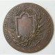 Médaille Union Patriotique Du RHÔNE D'après Pagny/Rivet (1888) - Professionals/Firms