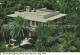 72050342 Key_West Ernest Hemingway Home And Museum - Other & Unclassified