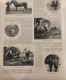 1900 LE CONCOURS HIPPIQUE INTERNATIONAL DE VINCENNES - EXPO UNIVERSELLE - LES CHEVAUX HONGROIS - LA VIE AU GRAND AIR - 1900 - 1949