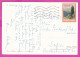 294059 / Italy - Saluti Da SENIGALLIA  4 View PC 1969 USED 55 L TREE  Italian Cypress (Cupressus Sempervirens) Italia - 1961-70: Poststempel