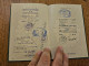 Delcampe - 1974 Germany Passport Reisepass Issued In Gerlingen - Full Of DDR Greece Bulgaria Yugoslavia Czechoslovakia Visas - Documents Historiques