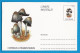 Entier Postal Neuf Roumain édition Luxe Glacé Brillant N° 088 Série 891/1000 Champignon  Mushroom Champignons Pilze - Mushrooms