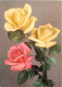 Fleurs - Roses - Illustration - Carte Dentelée - CPSM Grand Format - Carte Neuve - Voir Scans Recto-Verso - Flowers