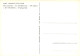 Art - Peinture - Carel Fabritius - Le Chardonneret - Het Puttertje - The Linnet - Oiseaux - CPM - Carte Neuve - Voir Sca - Malerei & Gemälde