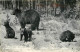 Animaux - Ours - East Tawas Mich - Oursons - Bear - CPSM Format CPA - Voir Scans Recto-Verso - Bears