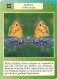 Animaux - Papillons - Fleurs - Astrologie - Gémeaux - Etat Coups Visibles - CPM - Voir Scans Recto-Verso - Papillons
