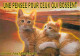 Animaux - Chats - Chatons - Carte Humoristique - Carte Neuve - CPM - Voir Scans Recto-Verso - Chats