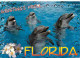 Animaux - Dauphins - CPM - Voir Scans Recto-Verso - Dolfijnen