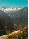 31 - Luchon - CPM - Voir Scans Recto-Verso - Luchon