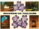 31 - Toulouse - CPM - Voir Scans Recto-Verso - Toulouse