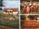 71949882 Istanbul Constantinopel Festival Tulips Emirgan Wood  - Turkey