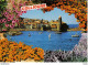 66 COLLIOURE N°338 Eglise ND Des Anges La Baie Planches à Voile Voilier Fleurs VOIR DOS éditions Larrey - Collioure