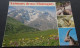 Animaux De Nos Montagnes - Editions EDY, Chambéry - Autres & Non Classés