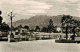 13842687 Muralto Locarno Lago Maggiore TI Panorama  - Autres & Non Classés