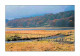 48 - Lozère - L'Aubrac - Lac Des Salhiens - CPM - Voir Scans Recto-Verso - Autres & Non Classés