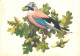 Animaux - Oiseaux - De Vlaamse Gaai - Geai - Dessin - CPM - Voir Scans Recto-Verso - Vogels