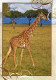 Animaux - Girafes - Carte Qui Se Déplie - Carte Neuve - CPM - Voir Scans Recto-Verso - Giraffe