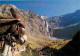 Animaux - Anes - Pyrénées - Gavarnie - La Grande Cascade Vue De L'Hôtel Du Cirque - Carte Neuve - CPM - Voir Scans Recto - Asino