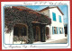 Roquebrune-Cap-Martin (06) Vacances P.T.T. Côte D'Azur Avenue Bellevue 2scans - Roquebrune-Cap-Martin