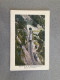 Chemin De Fer De Martigny-Chatelard Tunnel Des Charbons Carte Postale Postcard - Martigny