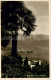 13822937 Brissago Lago Maggiore TI Panorama  - Andere & Zonder Classificatie