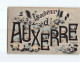 AUXERRE : Carte Souvenir - Très Bon état - Auxerre