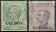 REGNO COLONIE EGEO CALINO 1916 DUE FRANCOBOLLI DA C. 5 / C. 50 SOPRASTAMPATI 'CALIMNO' NUOVI MNH ** SASSONE 2-7 - Egeo (Calino)