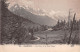 74-CHAMONIX-N°T1164-B/0343 - Chamonix-Mont-Blanc