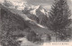 74-CHAMONIX-N°T1165-F/0365 - Chamonix-Mont-Blanc
