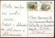 °°° 31005 - SEYCHELLES - MAHE - INTENDANCE - 1990 With Stamps °°° - Seychelles