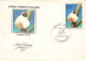 Enveloppe 1er Jour Lémuriens-Verreauxi Sifaka Madagascar-Antananarivo-Beau Timbre-RARE   L2911 - Madagaskar (1960-...)