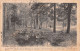 75-PARIS LE BOIS DE BOULOGNE-N°T1172-D/0121 - Altri & Non Classificati